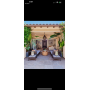 Designer home sale 