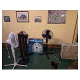 fans