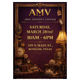 AMV Vintage and Antiques 