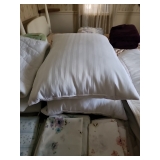 Nearly New Pillows