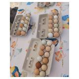 Organic eggs