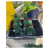 outdoor christmas trees