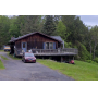 The Estate of Cindy, Owner of Cindy's Antique Shop for 35 Years