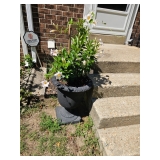 Flower Pots