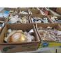 Fantastic Mid-Week Live Estate Auction! (July 15)