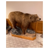 Sporting Goods, Collectibles, Holiday Decor Sporting Goods, Collectibles, Holiday Decor