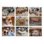 MDI Panther 4x4, Western Saddles, Household Furniture & Collectible Figurines