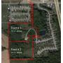 27 +/- Acres of Wooded and Grassed Land offered in 2 Tracts
