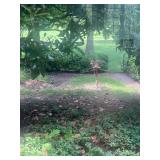 Estate sales by Olga in Flemington NJ