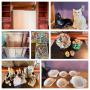 Comics, Furniture, Artwork and More Online Auction in Vilas, NC Bidding Ends Thursday, June 19