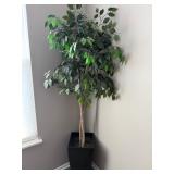Artificial Ficus Tree - Faux Indoor Tree with Black Tall Planter