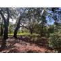 12.85+/- Acre Parcel, Ft. McCoy, FL