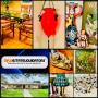Incredible Dallas Estate Sale! Baker, Theodore Alexander, Artsy Galore, Persian Rugs, Outdoor..