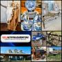 Incredible Ranch Estate! Arctic Cat, TX Art, Saddles, Rustics, Collectibles, Taxidermy, Trailers..