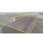 April 23, 2025 at 10:30 A.M. --Live Public Auction Of 80+/- Acres Of Farmland 