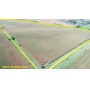 December 8, 2025 at 10:30 A.M.--Live Public Auction Of 90+/- Acres