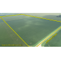 December 10, 2025 at 10:30 A.M. -- Live Public Auction Of 80+/- Acres Of Farmland 