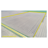 January 15, 2026 at 10:30 A.M. --Live Public Auction Of 80+/- Acres Of High Caliber Farmland