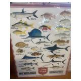 Lone Star Salt Water Fish Poster