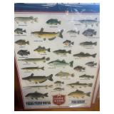 Lone Star Fresh Water Fish Poster