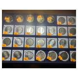Morgan Silver Dollars