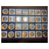 Morgan Silver Dollars