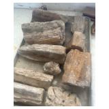 Petrified Wood Rocks