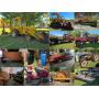 Hutchison In-Person Live Auction