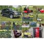 On-Line Estate Auction