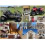 Lohe Estate Auction