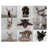 Estate Auction