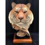 Quinn's Weekly Auction