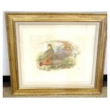 1169	FRAMED AND MATTED ENGLISH PHEASANT PRINT, NUMBERED 14/295, APPROXIMATELY 37 IN X 33 IN OVERALL
