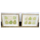 1173	PAIR OF FRAMED AND MATTED IMAGES OF FRUIT, EACH APPROXIMATELY 20 IN X 17 IN