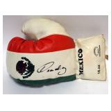 1204	SIGNED BOXING GLOVE