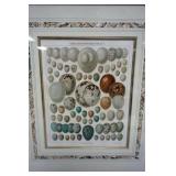 1108	VINTAGE FRAMED AND MATTED PRINT OF BIRD EGGS
