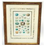 1109	VINTAGE FRAMED AND MATTED PRINT OF BIRD EGGS
