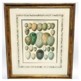 1110	VINTAGE FRAMED AND MATTED PRINT OF BIRD EGGS