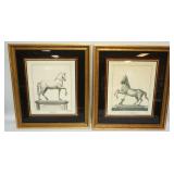 1067	FRAMED CLASSICAL HORSE ENGRAVINGS, EACH APPROXIMATELY 21 IN X 24 IN 