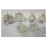 1144	ROYAL BAYREUTH LUSTRE CONCH SHELL TOOTHPICKS, SALTS & PEPPERS, LARGEST APPROXIMATELY 3 IN HIGH