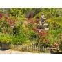 Another Sun City Roseville Sale 