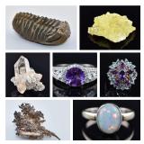 Jewelry and Naturals: Specimen Auction - Bidding Ends 12/10