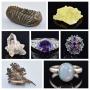 Jewelry and Naturals: Specimen Auction - Bidding Ends 12/10