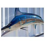 MOVING SALE PRESENTED BY ESTATE SALE SERVICES 