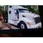 2010 PETERBILT TRUCK, WWW.ONLINEAUCTIONSLLC.NET
