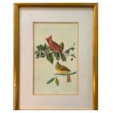John James Audubon (1785-1851) Print - "Cardinal Grosbeak" | This is a framed print of two Northern 