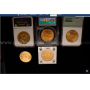 Lot Of Graded Gold Coins (26189-918)