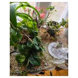 Plants, copper plant table, oil lamps
