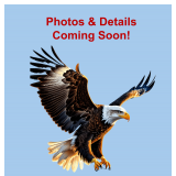 3 Day Sale - Village of DeLuna