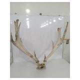      TUCSON Estate Liquidation Auction Tuesday 7:00pm 3/3/26